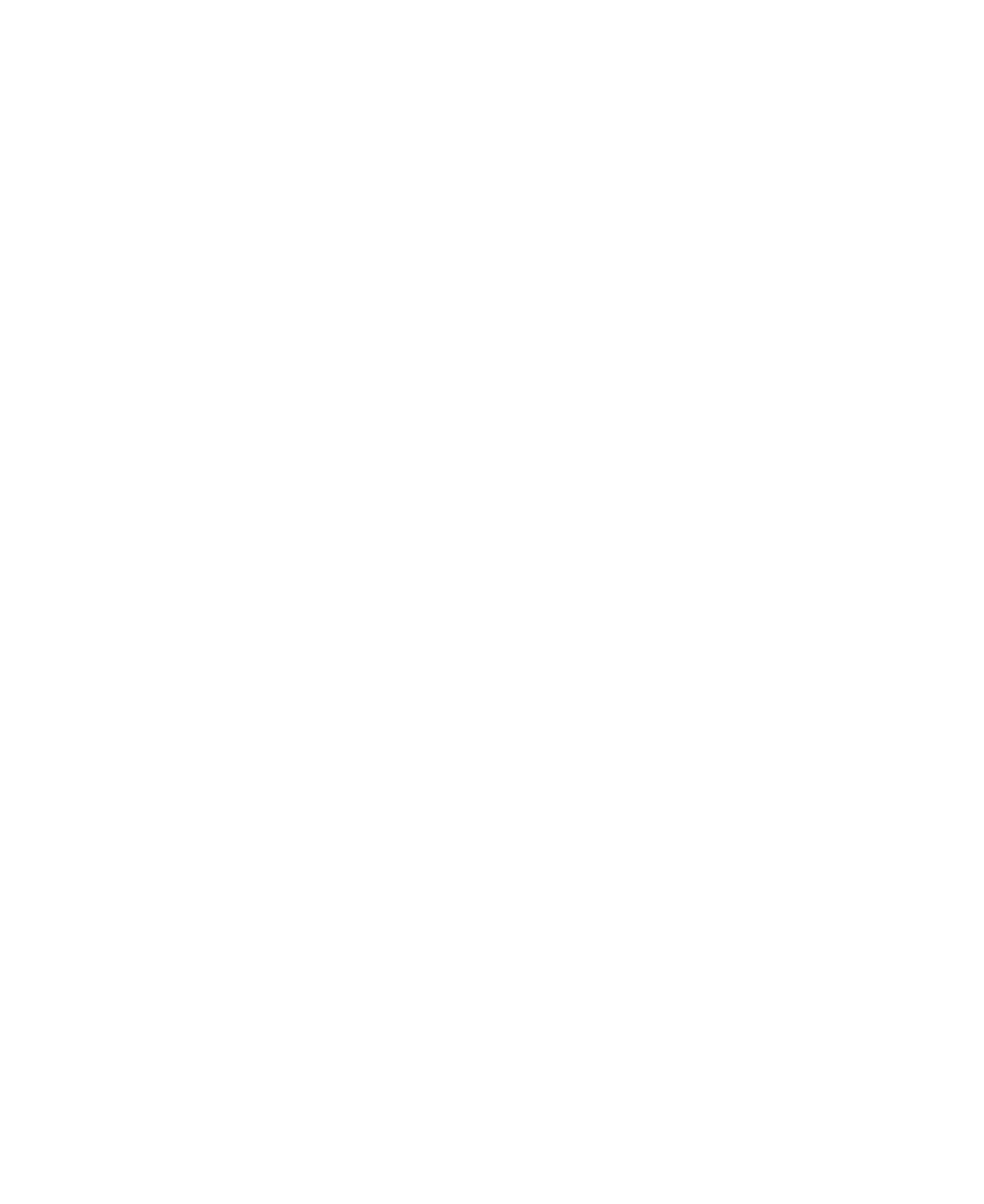 Logo HD Print version 2